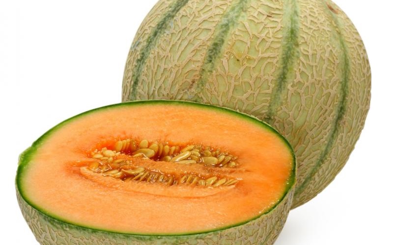 HONEY ROCK MELON GreenMyLife all about gardens GreenMyLife all